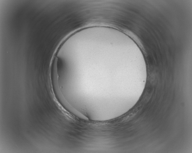 X0000068841004200606021704