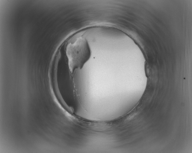 X0000068841007200606021704