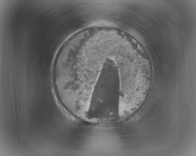 X0000068841008200606021704