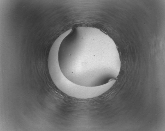 X0000068841010200606021703