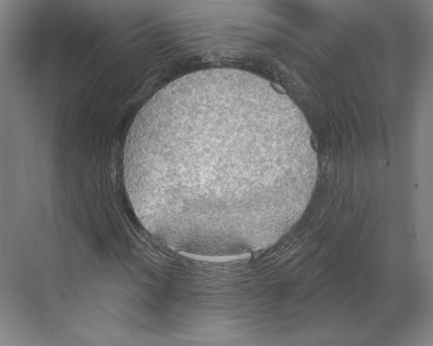 X0000068841012200606021703