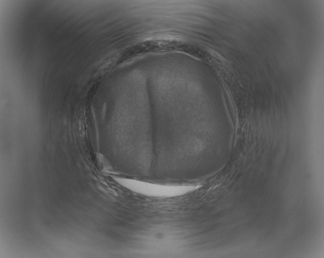 X0000068841014200606021703