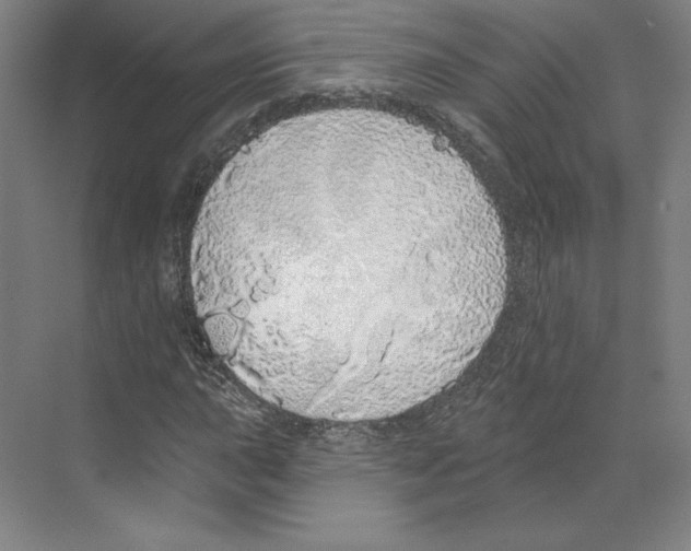 X0000068841015200606021703