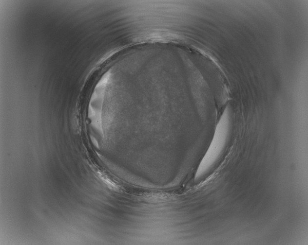 X0000068841018200606021703