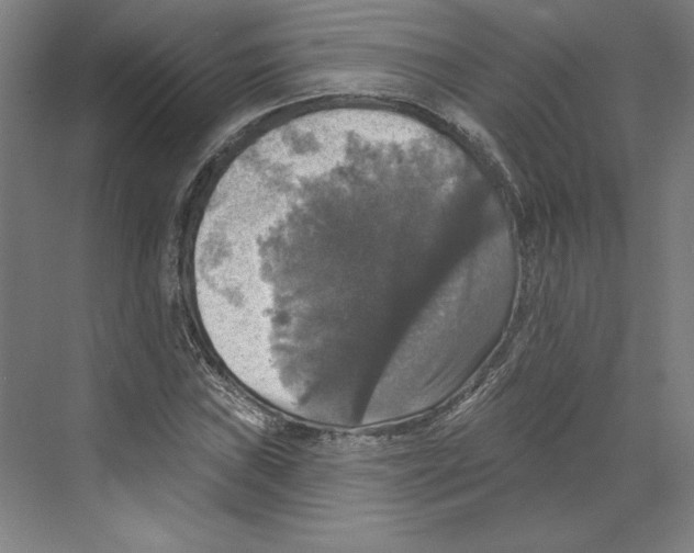 X0000068841019200606021703