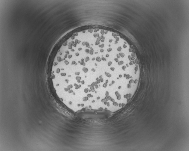 X0000068841020200606021703