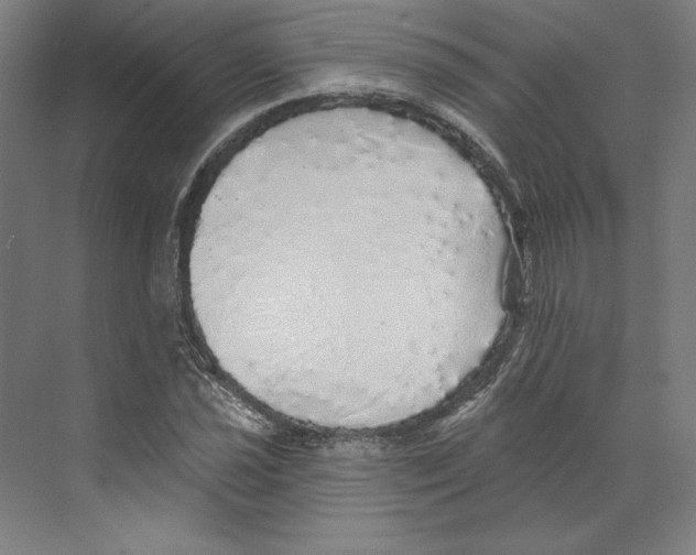 X0000068841021200606021703