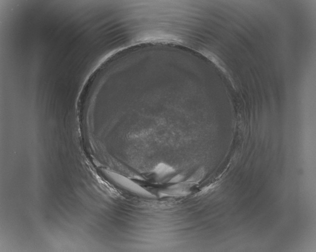 X0000068841022200606021703