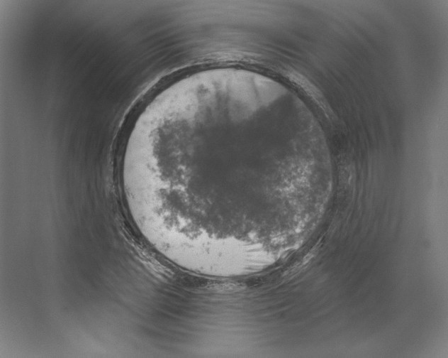 X0000068841023200606021703