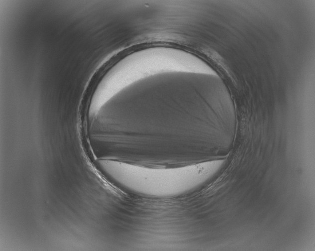 X0000068841024200606021703