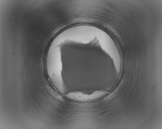 X0000068841025200606021703