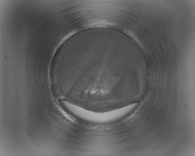 X0000068841026200606021703