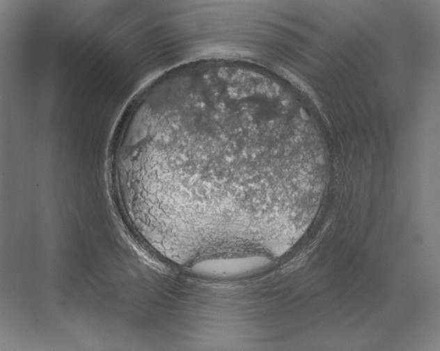 X0000068841029200606021703