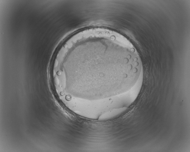 X0000068841032200606021703