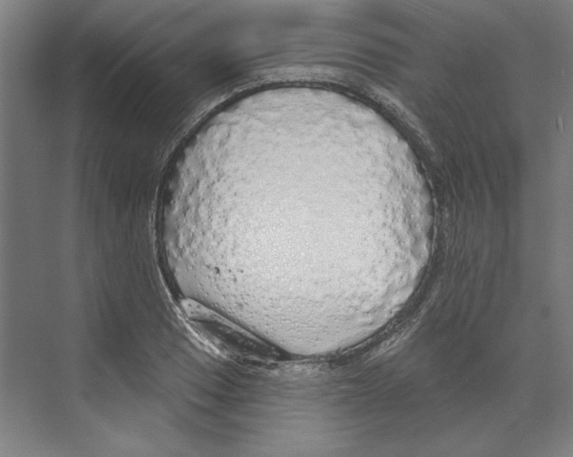 X0000068841033200606021703