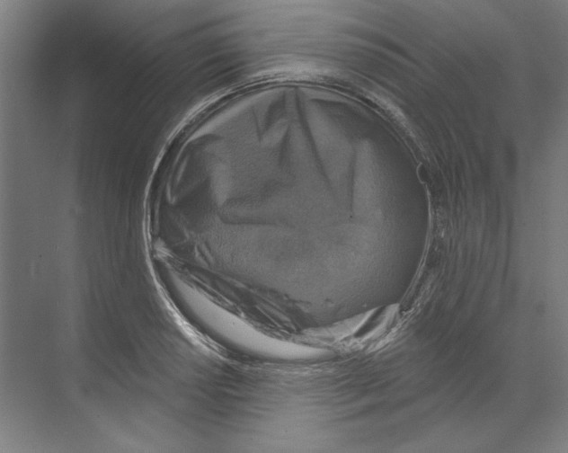 X0000068841034200606021703