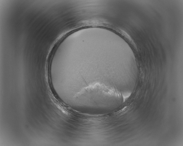 X0000068841035200606021703