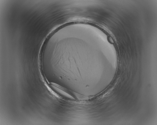 X0000068841037200606021703