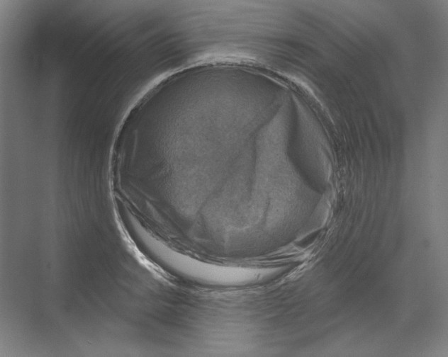 X0000068841038200606021703