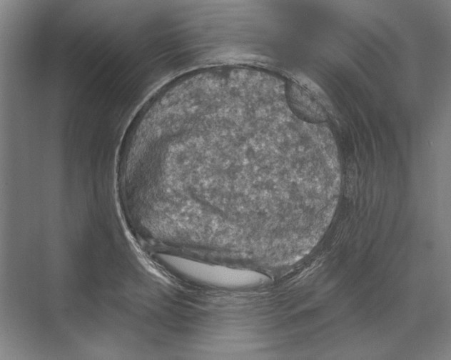 X0000068841039200606021703