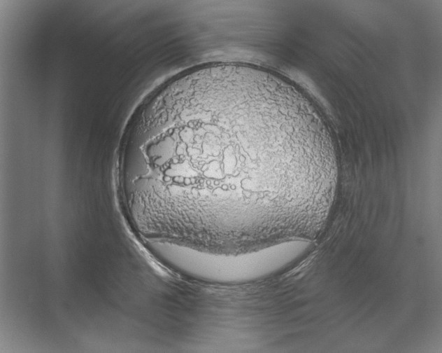 X0000068841040200606021703