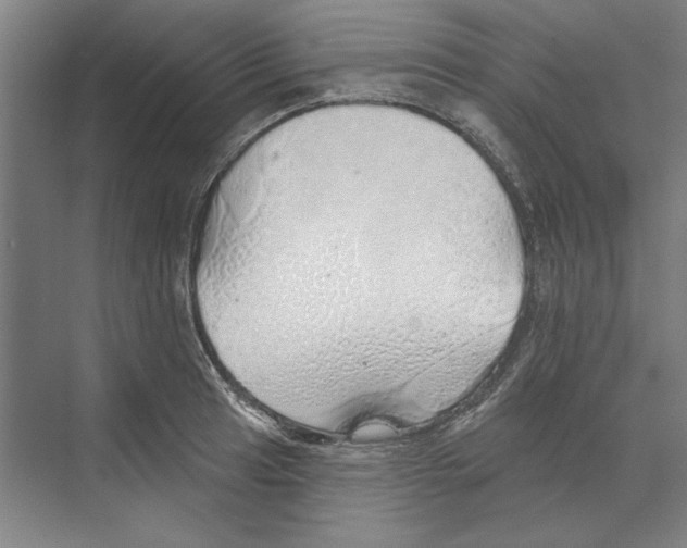 X0000068841041200606021703