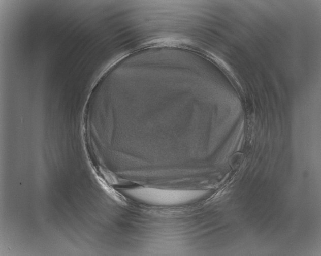 X0000068841042200606021703