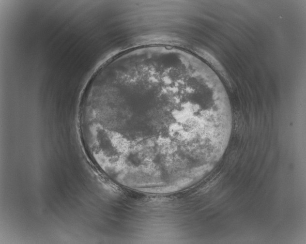 X0000068841043200606021703