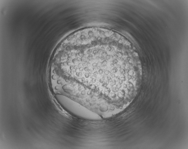 X0000068841044200606021703