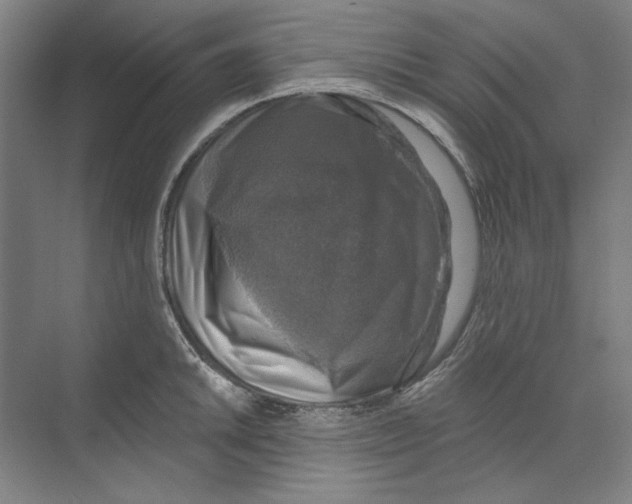 X0000068841046200606021703