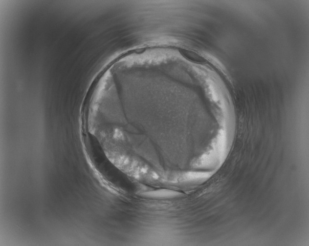 X0000068841047200606021704