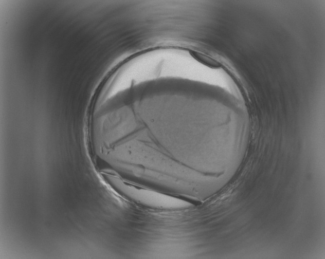 X0000068841048200606021704