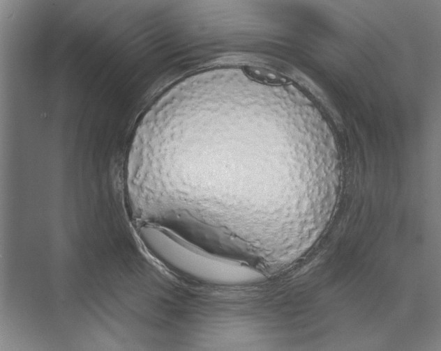 X0000068841049200606021704