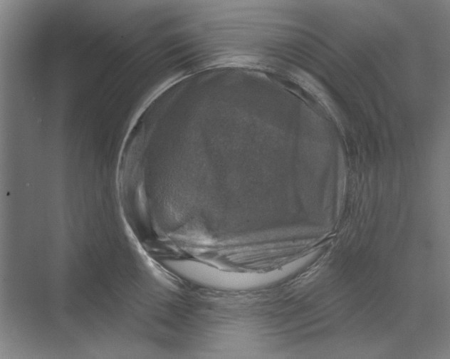 X0000068841050200606021704