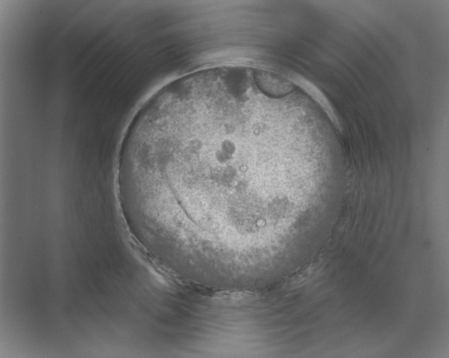 X0000068841051200606021704