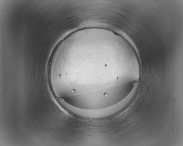 X0000068841053200606021704