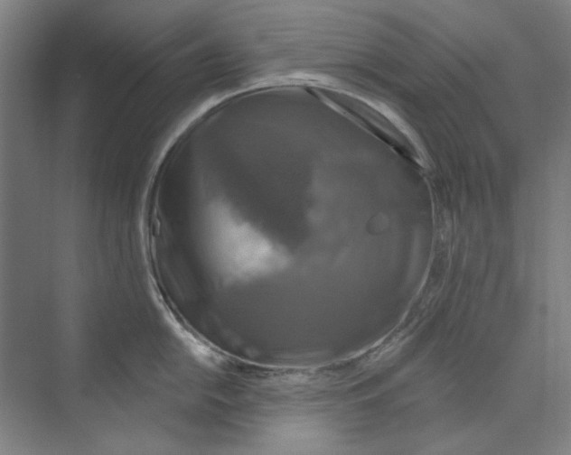 X0000068841054200606021704