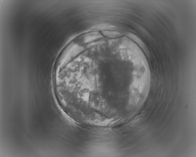 X0000068841055200606021704