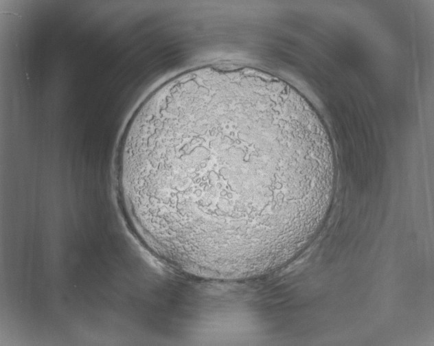 X0000068841056200606021704