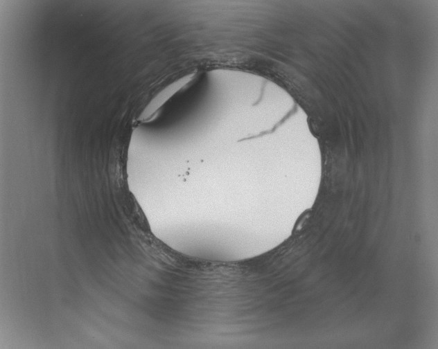 X0000068841058200606021703