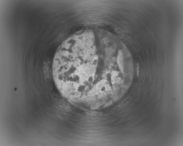 X0000068841059200606021703