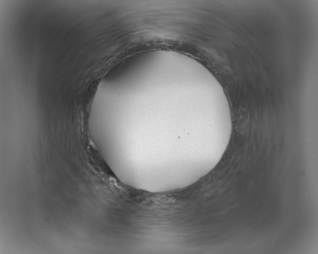 X0000068841061200606021703