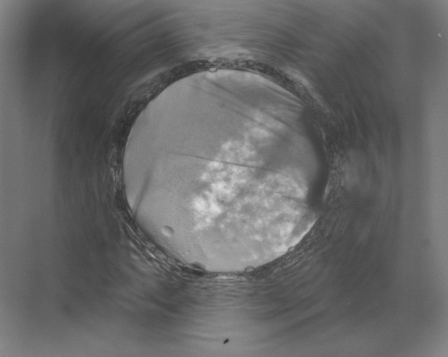 X0000068841063200606021703