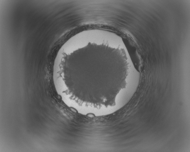 X0000068841064200606021703