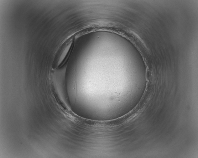 X0000068841065200606021703