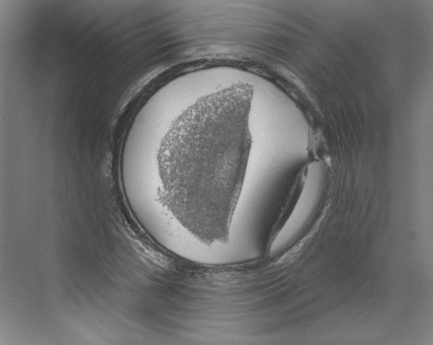 X0000068841066200606021703