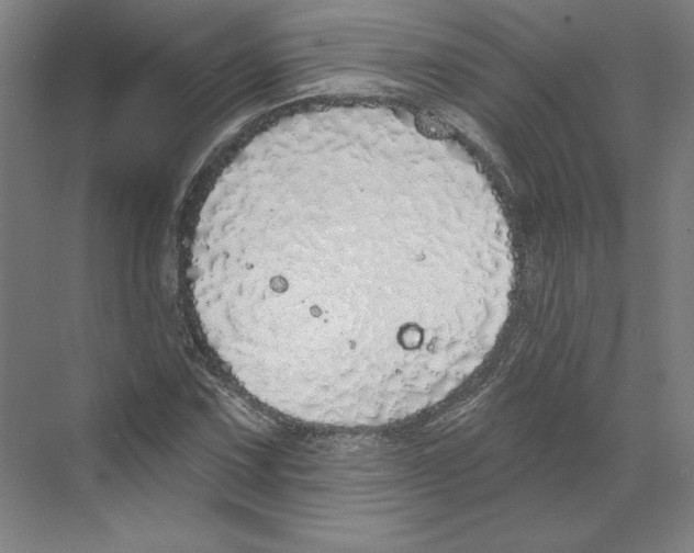 X0000068841067200606021703