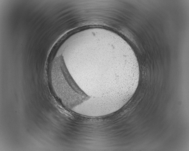 X0000068841068200606021703