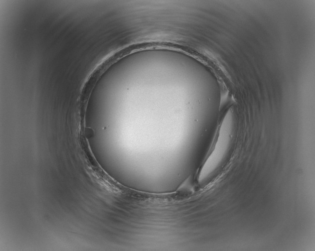 X0000068841069200606021703