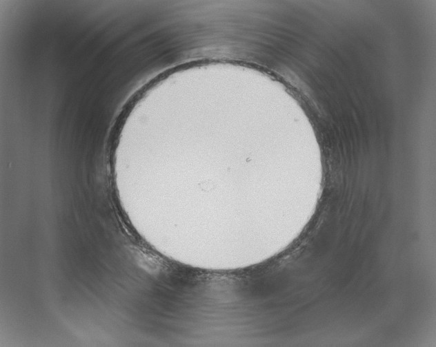 X0000068841070200606021703